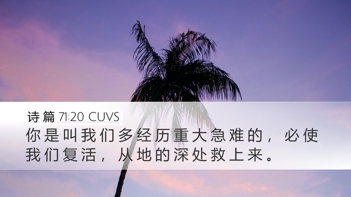 诗 篇 71:20 CUVS Bible Verse Image