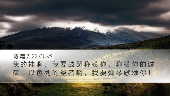 诗 篇 71:22 CUVS Bible Verse Image