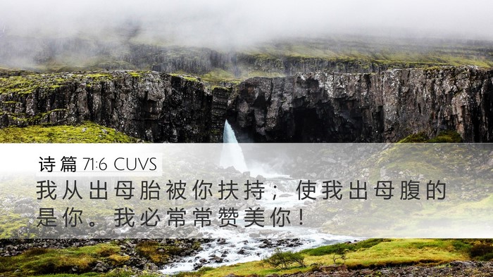 诗 篇 71:6 CUVS Bible Verse Image