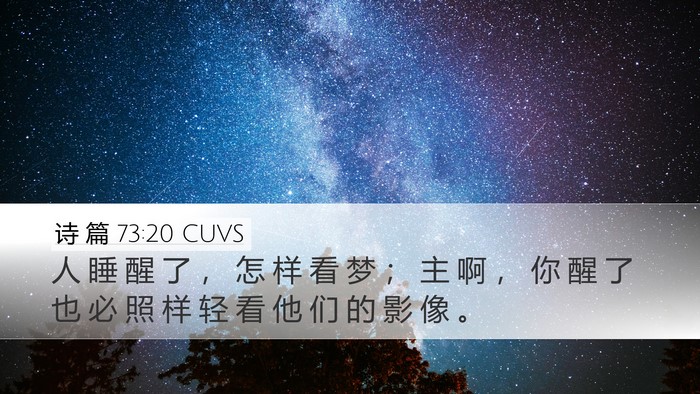 诗 篇 73:20 CUVS Bible Verse Image