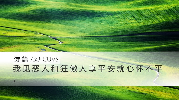 诗 篇 73:3 CUVS Bible Verse Image
