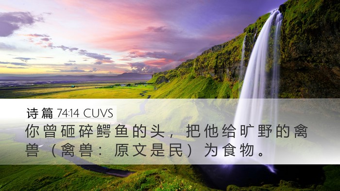 诗 篇 74:14 CUVS Bible Verse Image