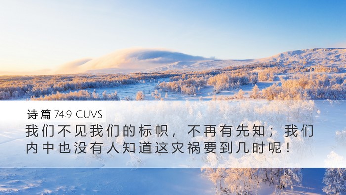 诗 篇 74:9 CUVS Desktop Wallpaper - 我 们 不 见 我 们 的 标 帜 ， 不 再 - Desktop Bible Verse Wallpaper