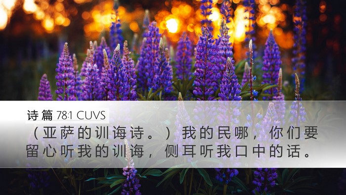 诗 篇 78:1 CUVS Bible Verse Image