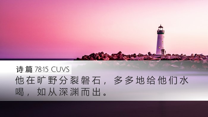 诗 篇 78:15 CUVS Bible Verse Image