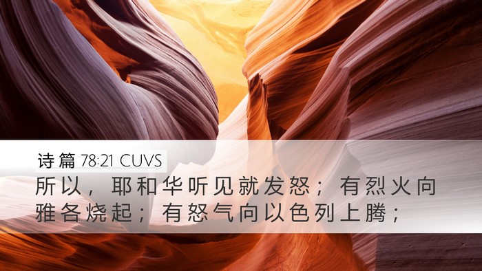 诗 篇 78:21 CUVS Bible Verse Image