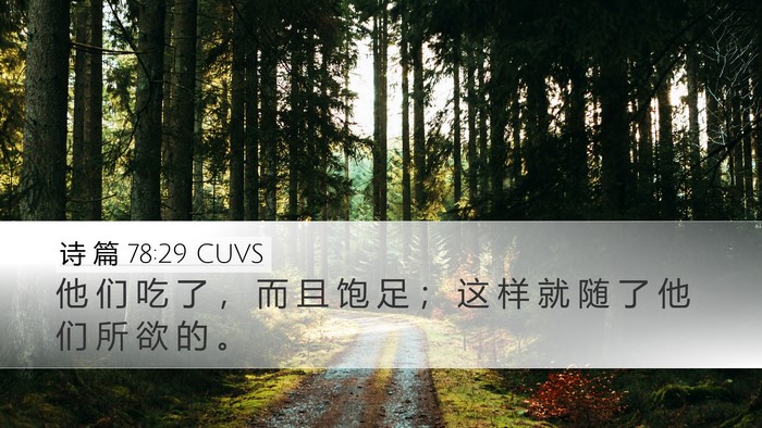诗 篇 78:29 CUVS Bible Verse Image