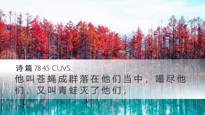 诗 篇 78:45 CUVS Desktop Wallpaper - 他 叫 苍 蝇 成 群 落 在 他 们 当 中 - Desktop Bible Verse Wallpaper