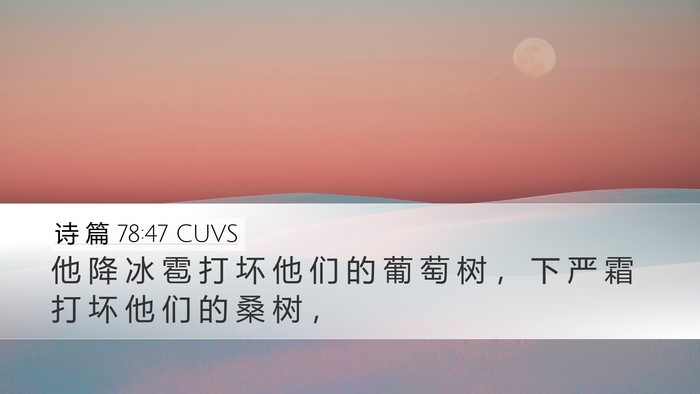 诗 篇 78:47 CUVS Desktop Wallpaper - 他 降 冰 雹 打 坏 他 们 的 葡 萄 树 - Desktop Bible Verse Wallpaper