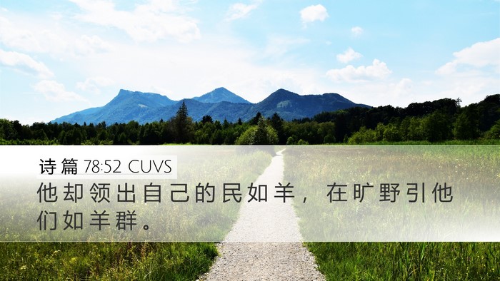 诗 篇 78:52 CUVS Desktop Wallpaper - 他 却 领 出 自 己 的 民 如 羊 ， 在 - Desktop Bible Verse Wallpaper