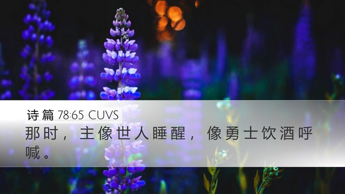 诗 篇 78:65 CUVS Bible Verse Image