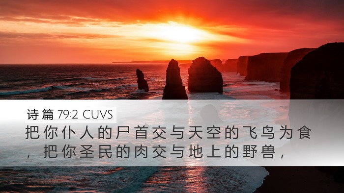 诗 篇 79:2 CUVS Desktop Wallpaper - 把 你 仆 人 的 尸 首 交 与 天 空 的 - Desktop Bible Verse Wallpaper