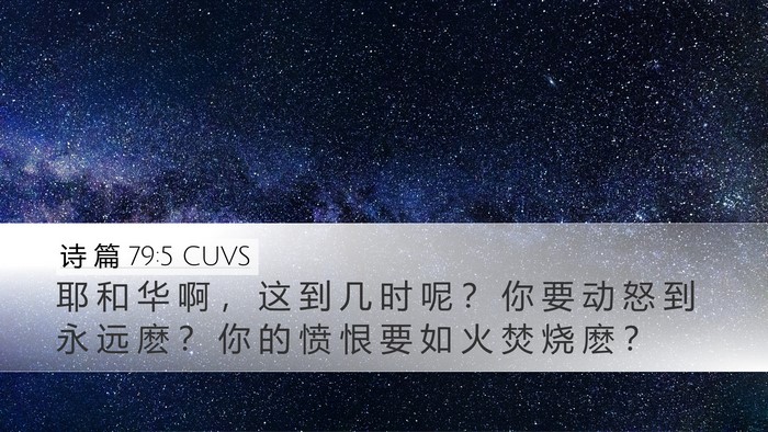 诗 篇 79:5 CUVS Bible Verse Image