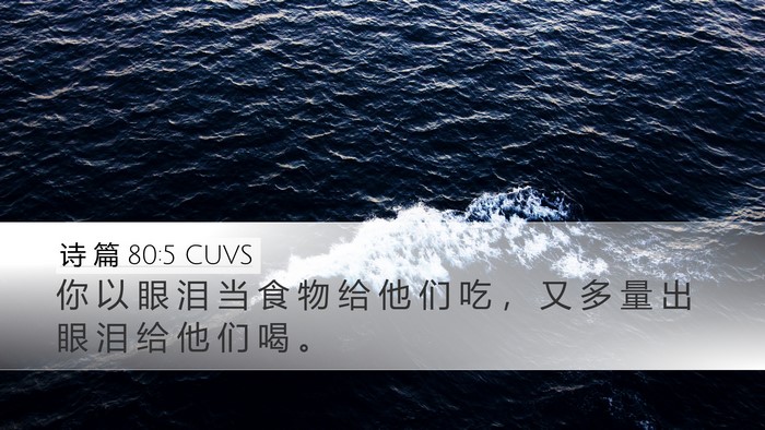 诗 篇 80:5 CUVS Desktop Wallpaper - 你 以 眼 泪 当 食 物 给 他 们 吃 ， - Desktop Bible Verse Wallpaper