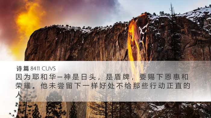诗 篇 84:11 CUVS Bible Verse Image