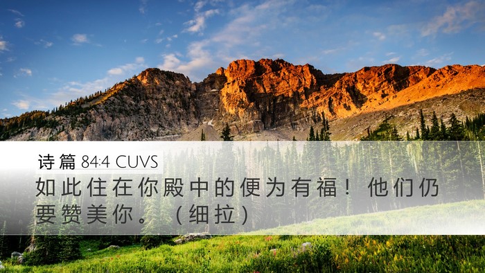 诗 篇 84:4 CUVS Bible Verse Image