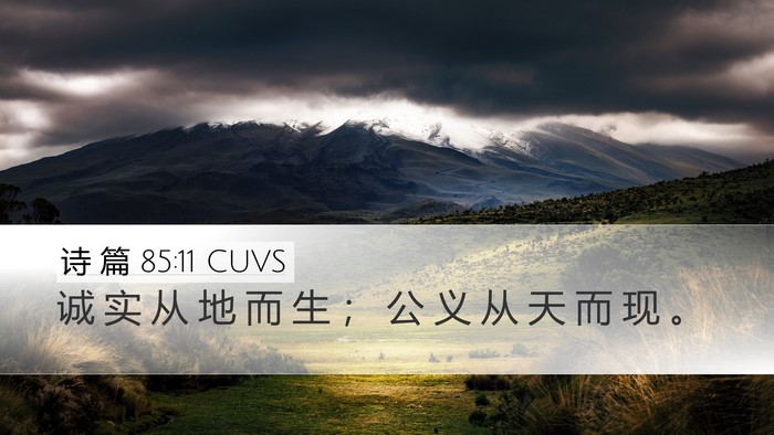 诗 篇 85:11 CUVS Bible Verse Image
