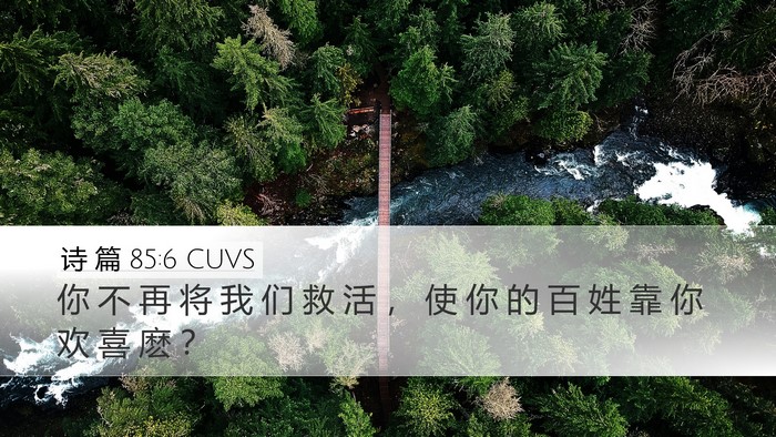 诗 篇 85:6 CUVS Bible Verse Image