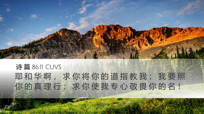诗 篇 86:11 CUVS Bible Verse Image