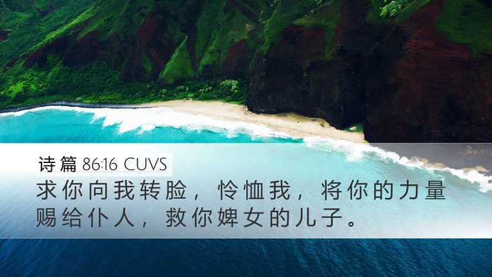 诗 篇 86:16 CUVS Bible Verse Image