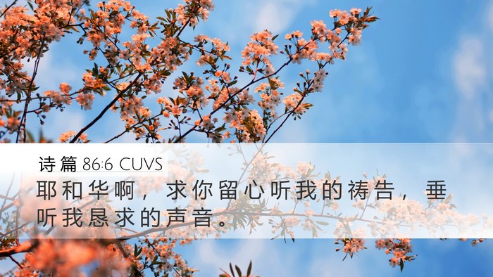 诗 篇 86:6 CUVS Bible Verse Image