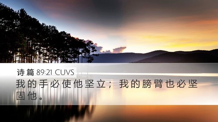 诗 篇 89:21 CUVS Bible Verse Image