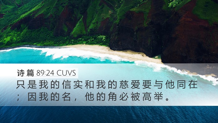 诗 篇 89:24 CUVS Bible Verse Image