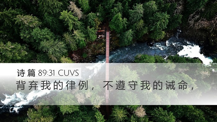 诗 篇 89:31 CUVS Bible Verse Image