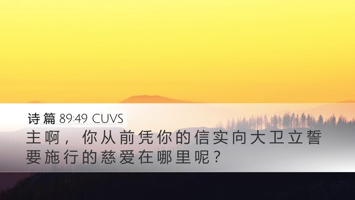 诗 篇 89:49 CUVS Bible Verse Image