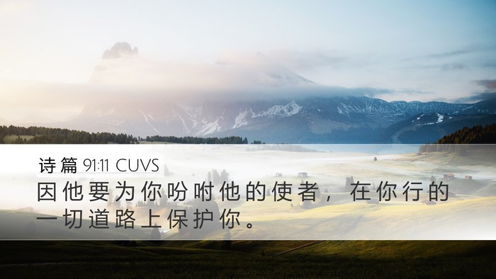 诗 篇 91:11 CUVS Bible Verse Image