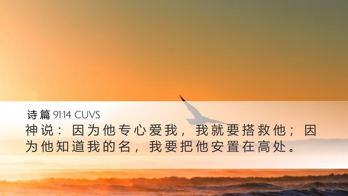 诗 篇 91:14 CUVS Bible Verse Image