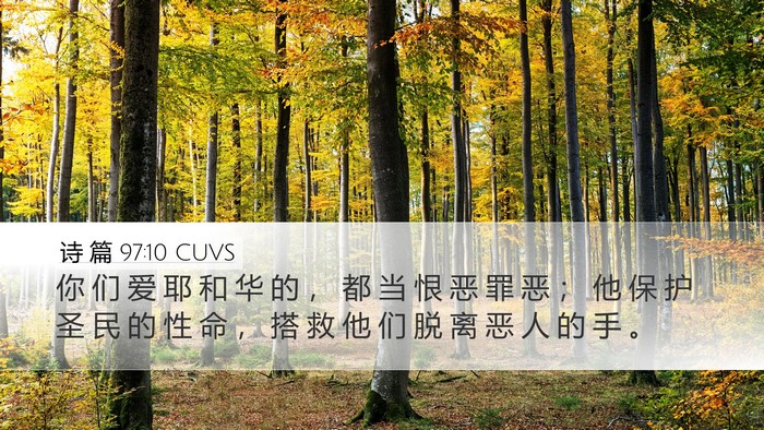 诗 篇 97:10 CUVS Bible Verse Image