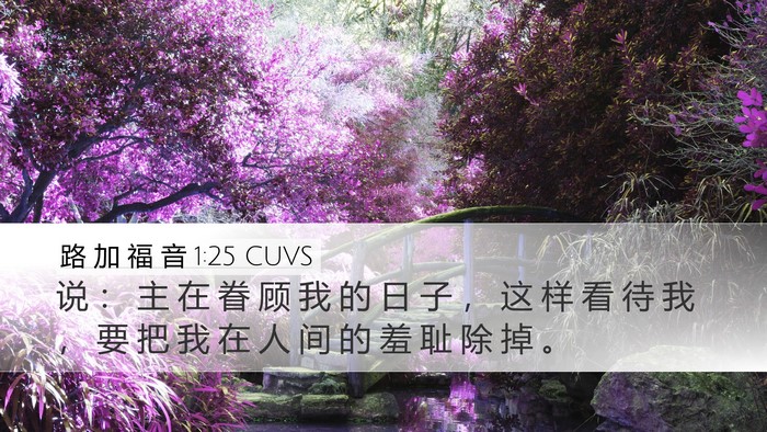 路 加 福 音 1:25 CUVS Bible Verse Image