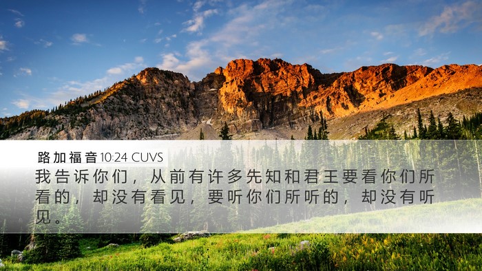 路 加 福 音 10:24 CUVS Desktop Wallpaper - 我 告 诉 你 们 ， 从 前 有 许 多 先 - Desktop Bible Verse Wallpaper