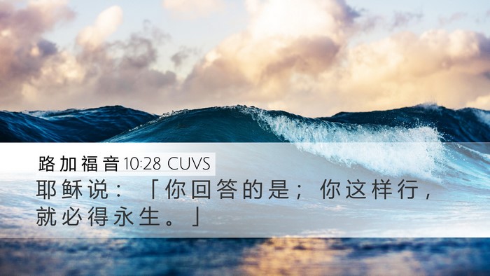路 加 福 音 10:28 CUVS Bible Verse Image