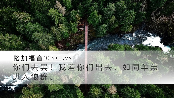 路 加 福 音 10:3 CUVS Desktop Wallpaper - 你 们 去 罢 ！ 我 差 你 们 出 去 ， - Desktop Bible Verse Wallpaper