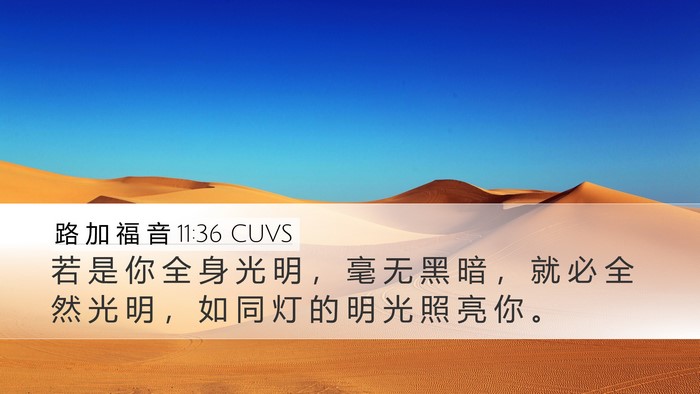 路 加 福 音 11:36 CUVS Desktop Wallpaper - 若 是 你 全 身 光 明 ， 毫 无 黑 暗 - Desktop Bible Verse Wallpaper