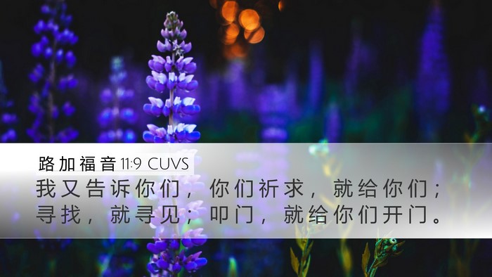 路 加 福 音 11:9 CUVS Bible Verse Image