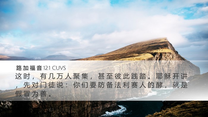 路 加 福 音 12:1 CUVS Bible Verse Image