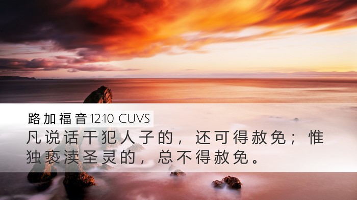 路 加 福 音 12:10 CUVS Bible Verse Image
