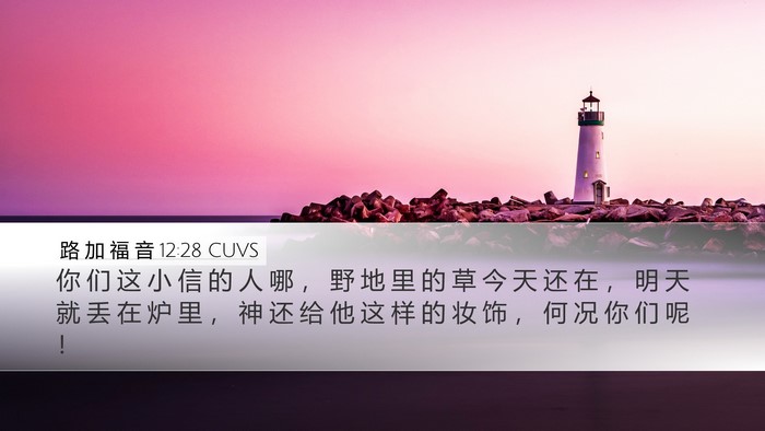 路 加 福 音 12:28 CUVS Bible Verse Image
