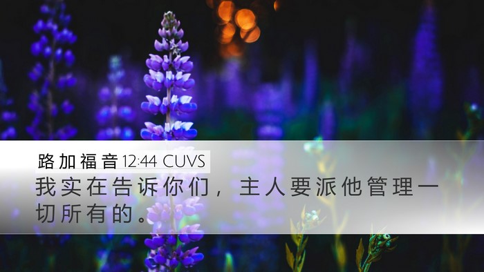 路 加 福 音 12:44 CUVS Bible Verse Image