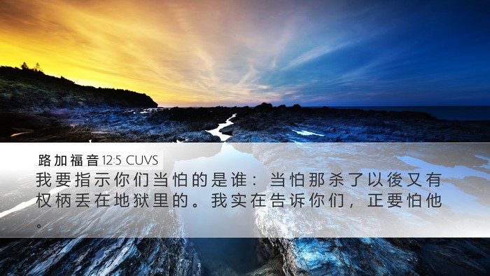 路 加 福 音 12:5 CUVS Bible Verse Image