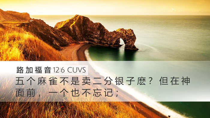 路 加 福 音 12:6 CUVS Bible Verse Image