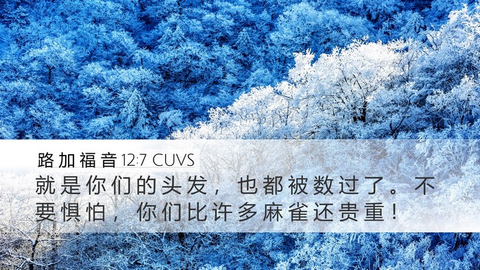 路 加 福 音 12:7 CUVS Bible Verse Image