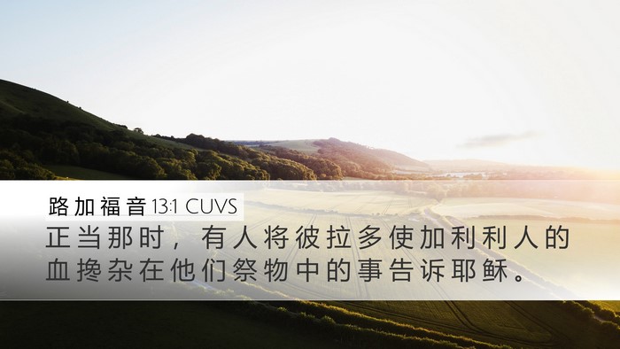 路 加 福 音 13:1 CUVS Bible Verse Image