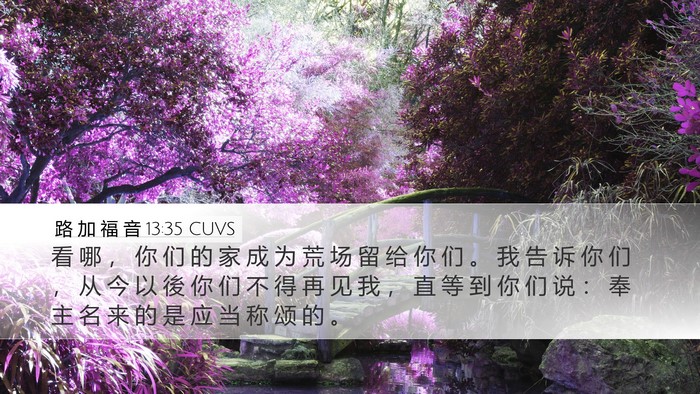 路 加 福 音 13:35 CUVS Bible Verse Image