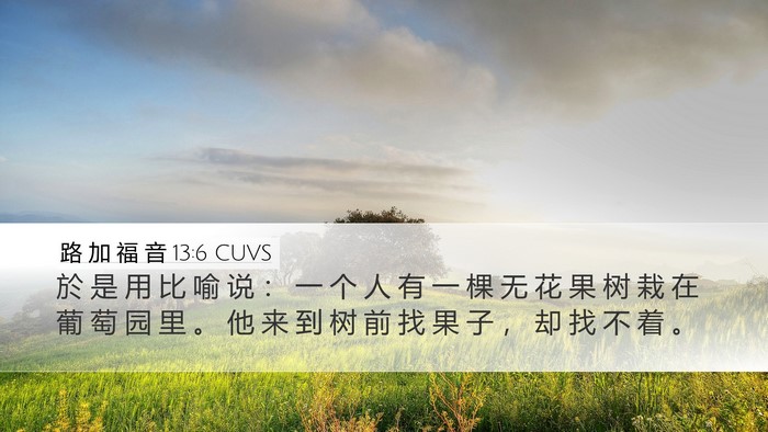 路 加 福 音 13:6 CUVS Desktop Wallpaper - 於 是 用 比 喻 说 ： 一 个 人 有 一 - Desktop Bible Verse Wallpaper
