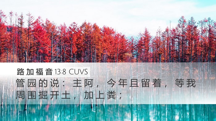 路 加 福 音 13:8 CUVS Bible Verse Image