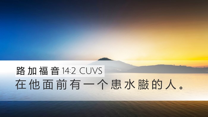 路 加 福 音 14:2 CUVS Desktop Wallpaper - 在 他 面 前 有 一 个 患 水 臌 的 人 - Desktop Bible Verse Wallpaper